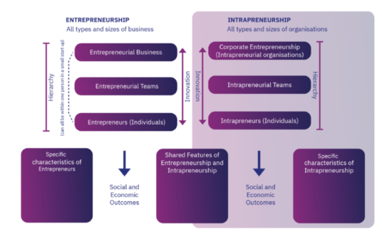 Descriptive model of intrapreneurship