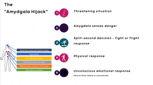Amygdala hijack graphic