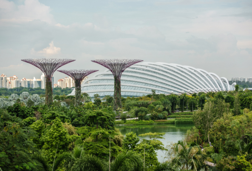 Supertree Groves. Garden by the Bay. Singapore.